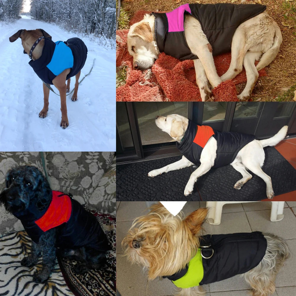 Moushou Pets & Co.ᵀᴹ Winter Pet Dog Puppy Vest Jacket