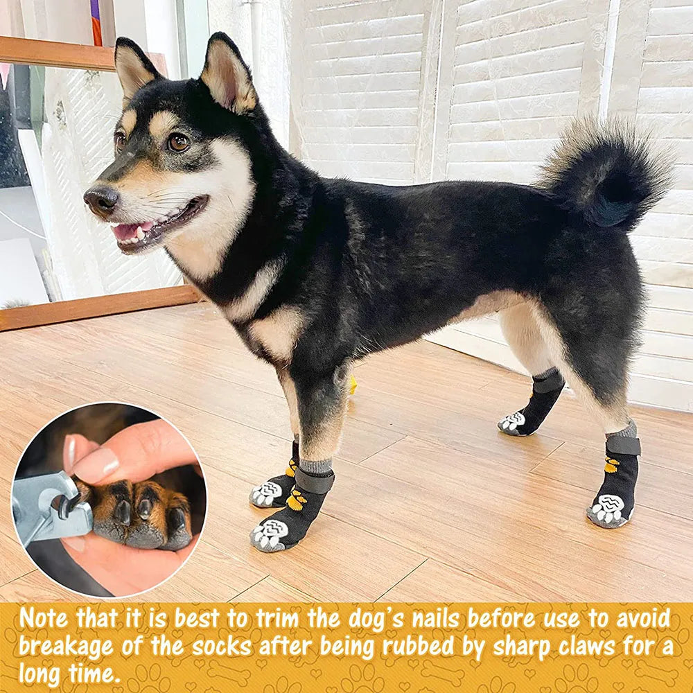 Anti-Slip Dog Socks: Traction and Comfort for Your Pets
