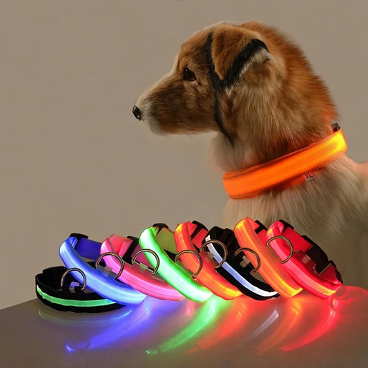 Moushou Pets & Co.ᵀᴹ Nylon LED Night Safety Dog Leash and Collar Set