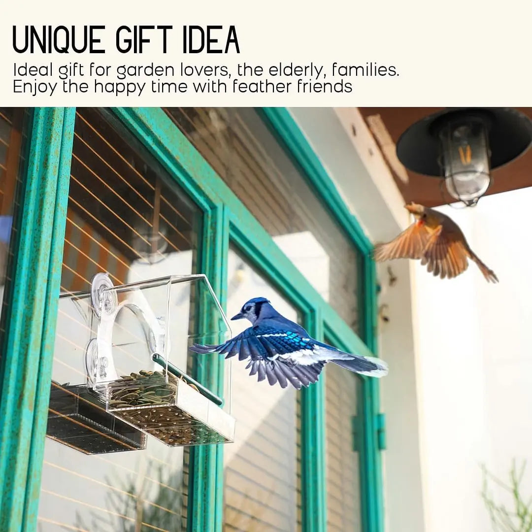Window Bird Feeder