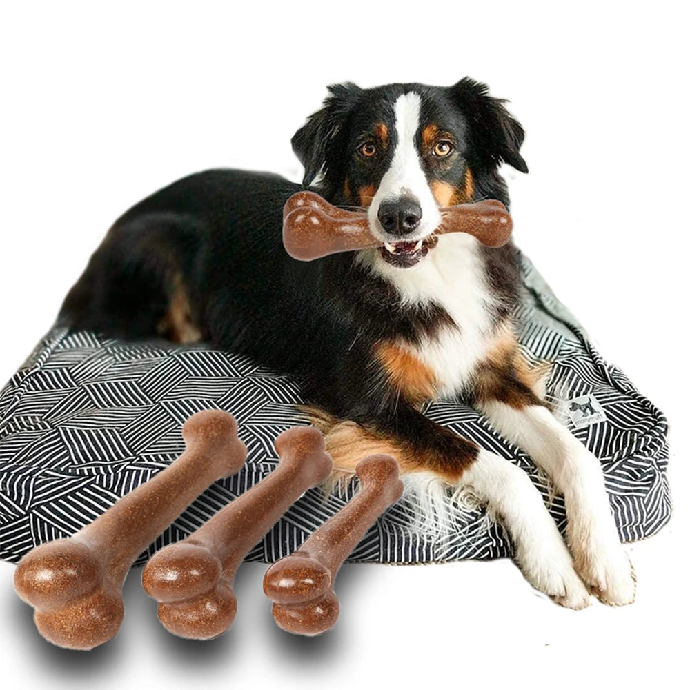 Dog Chew Toy