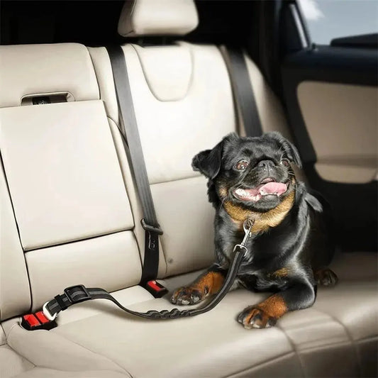 Reflective Dog Seat Belt: Safe Travels for Your Canine Companion