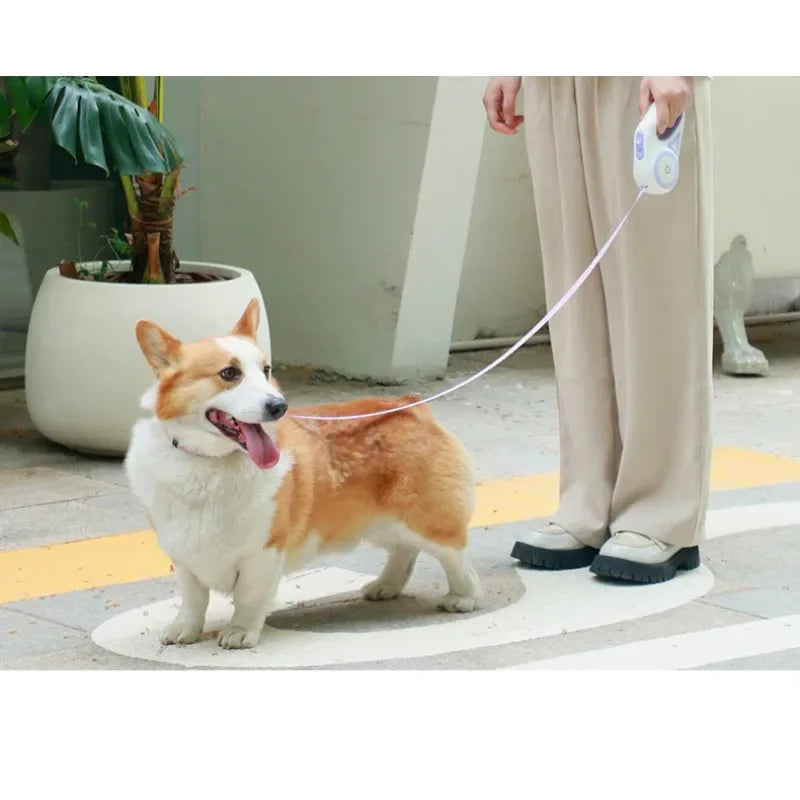 Moushou Pets & Co.ᵀᴹ Streamer Led Lights Dog Leash