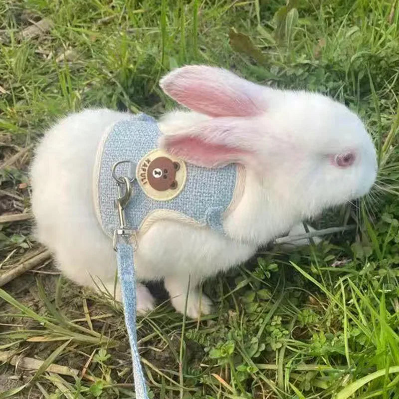 Newest Cute Rabbit Harness and Leash Set: Walk in Style with Your Bunny