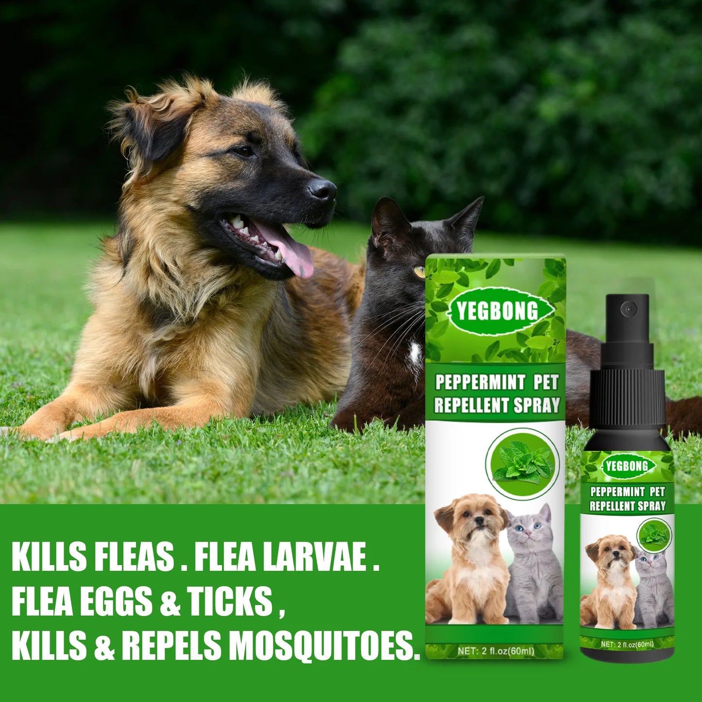 Long-Lasting Relief from Fleas, Ticks, Lice, Mites, and Ringworm in Dogs and Cats