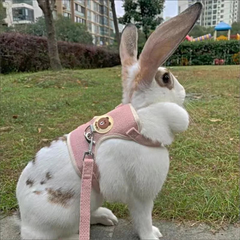 Newest Cute Rabbit Harness and Leash Set: Walk in Style with Your Bunny