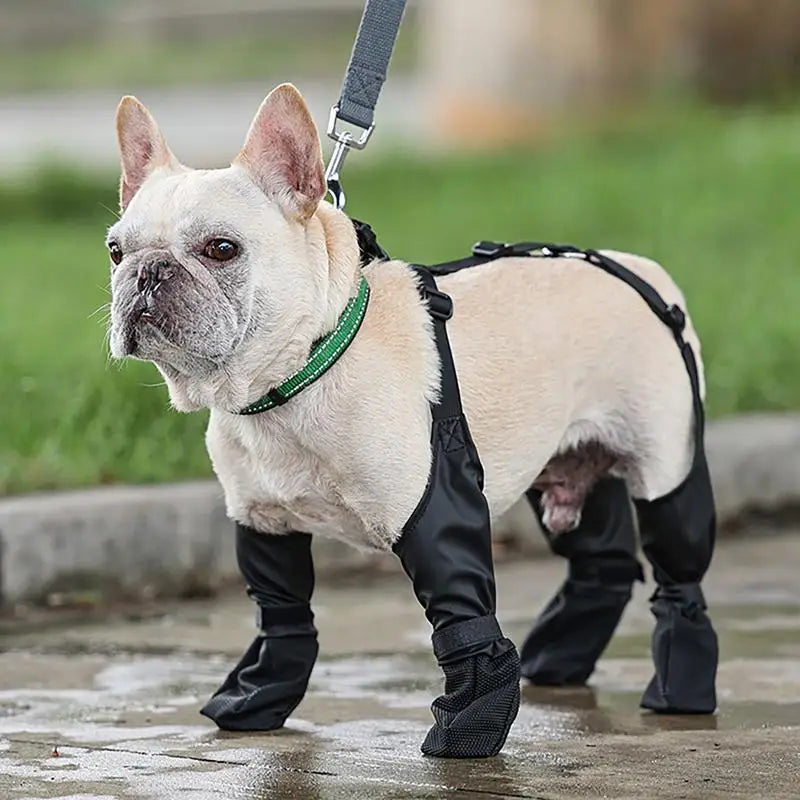 Waterproof Dog Shoes: Keep Your Pup’s Paws Dry and Safe