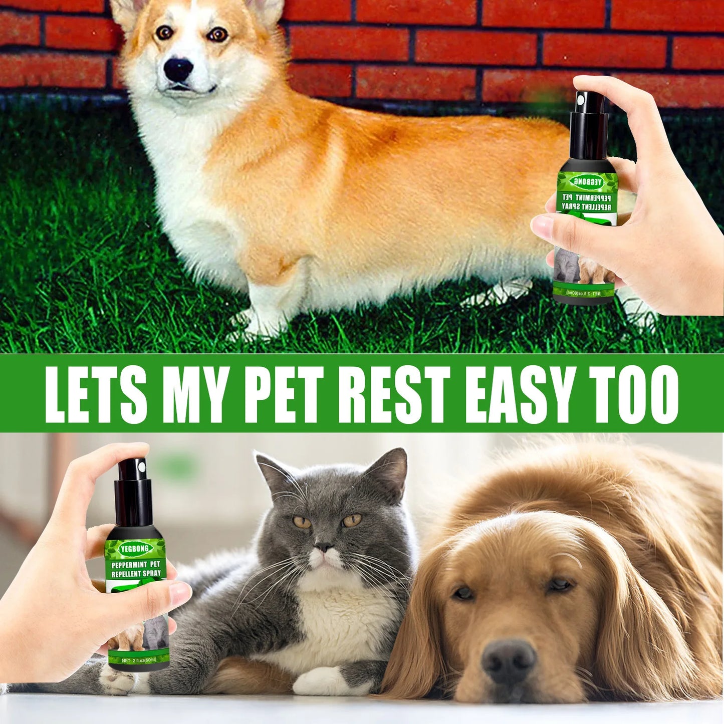 Long-Lasting Relief from Fleas, Ticks, Lice, Mites, and Ringworm in Dogs and Cats