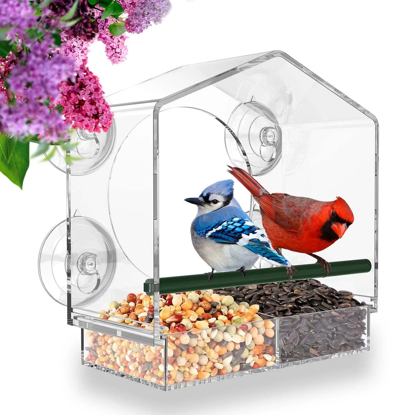 Window Bird Feeder