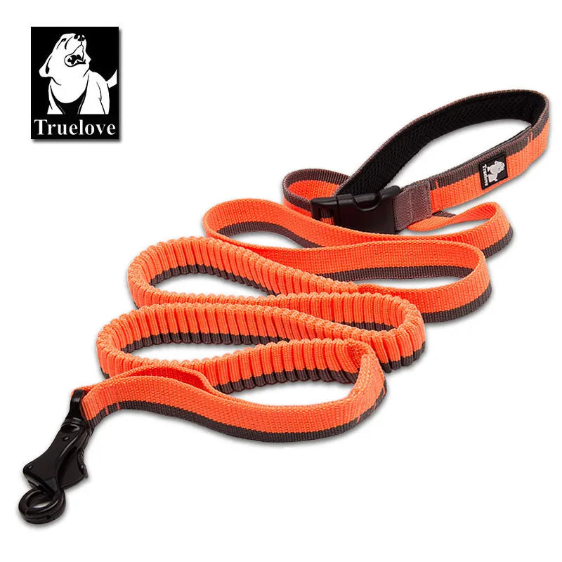 Moushou Pets & Co.ᵀᴹ Dog Running Bungee Leash