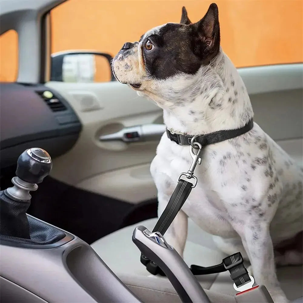 Reflective Dog Seat Belt: Safe Travels for Your Canine Companion