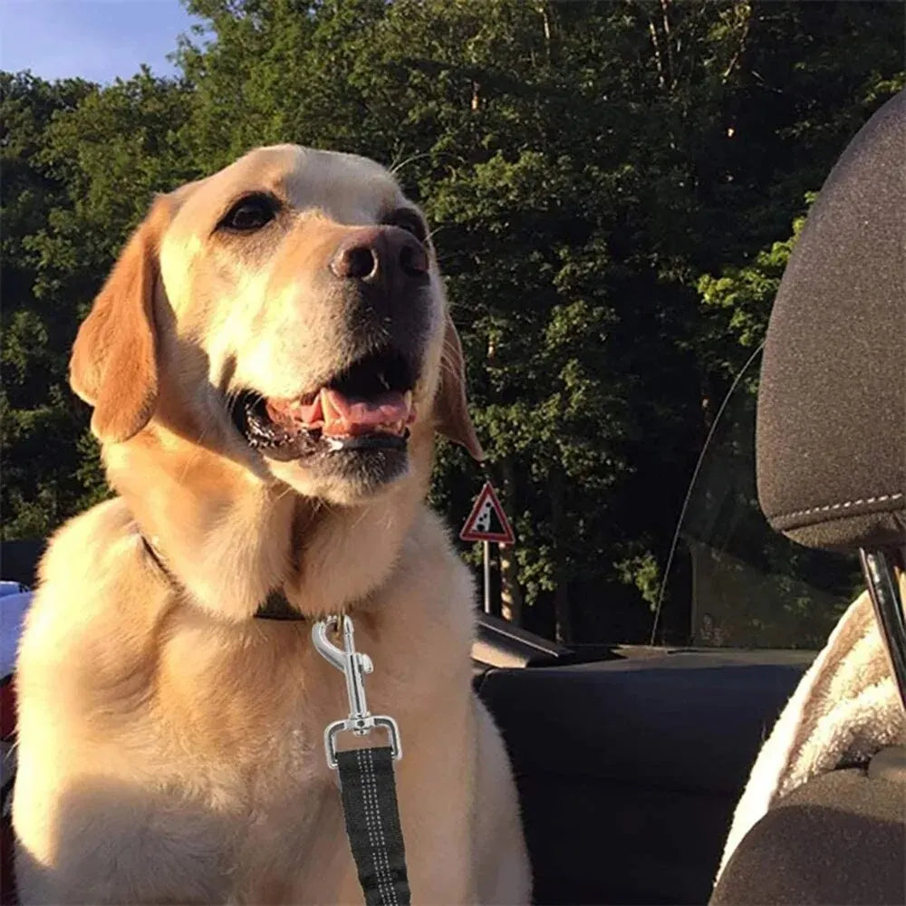 Reflective Dog Seat Belt: Safe Travels for Your Canine Companion