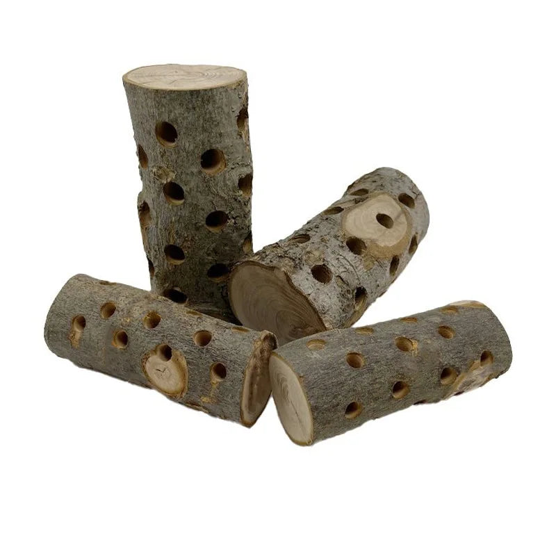 Small Animal Rabbit Totoro Molar Stick: The Ultimate Chew Toy!
