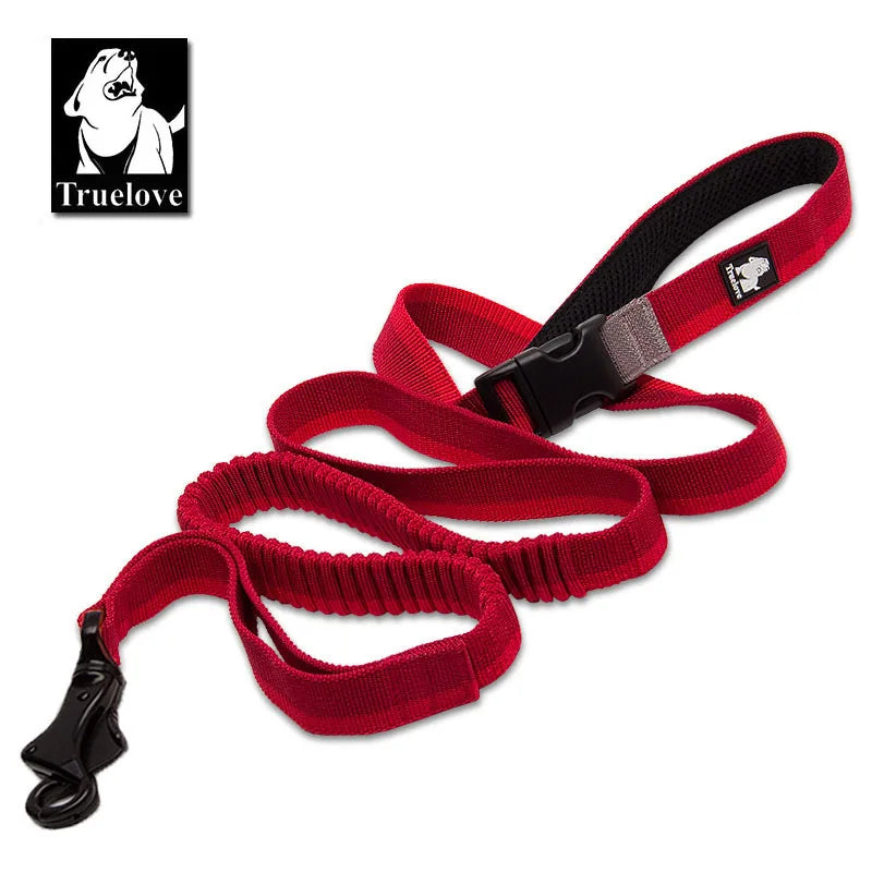 Moushou Pets & Co.ᵀᴹ Dog Running Bungee Leash