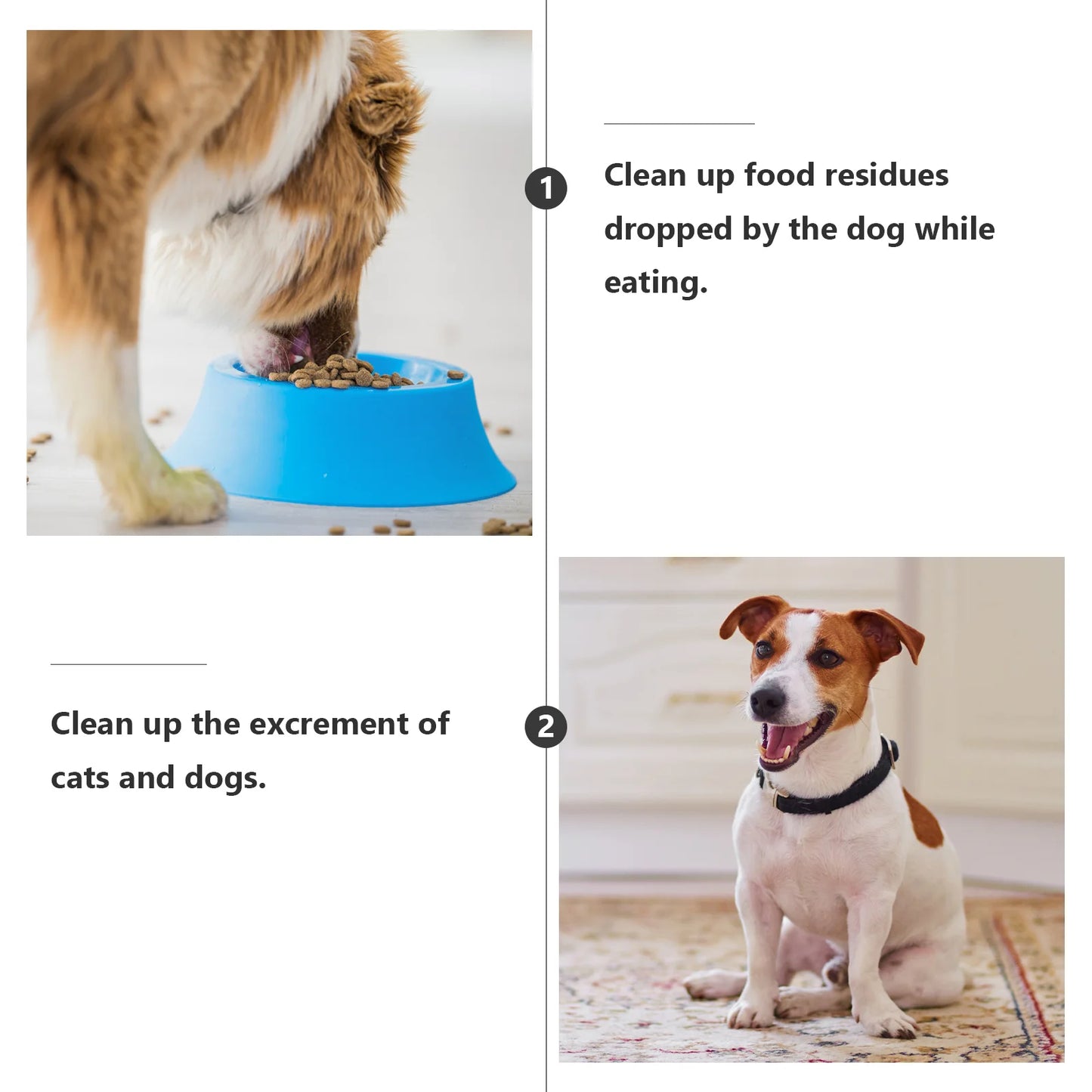 Mini Dustpan and Brush Set: A Must-Have for Small Pet Owners