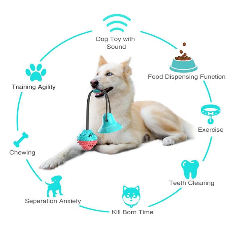 PawHut Dog Tug of War Toy with Suction Cup: A Playful and Practical Delight for Your Canine Companion